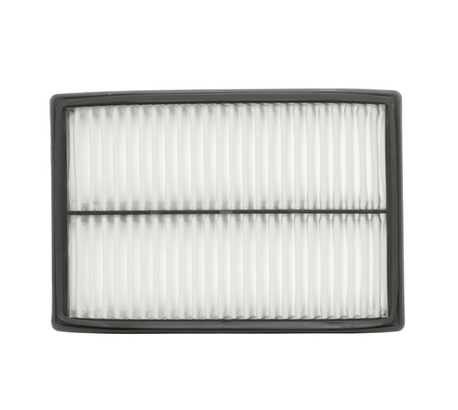 Köp Luftfilter av RIDEX 8A0142 till det låga priset 110,64 kr