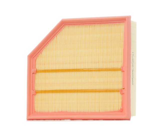 Kjøp Luftfilter av RIDEX 8A0155 til den lave prisen 153,49 NOK