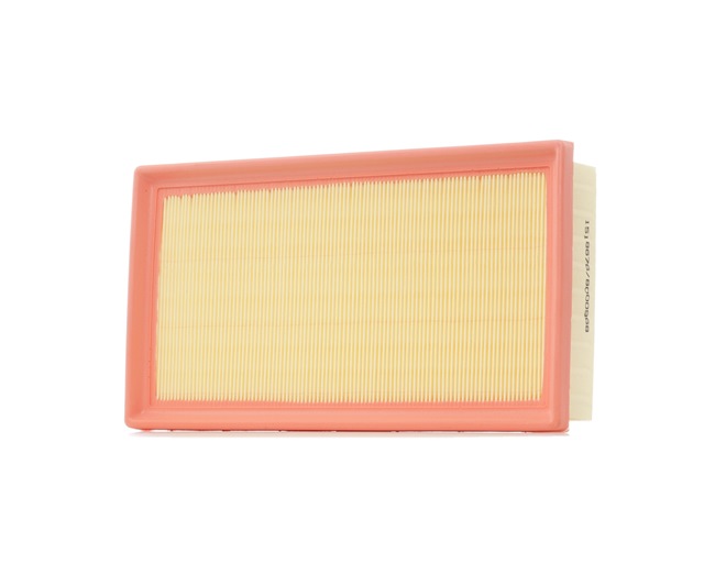 Acquista online RIDEX Filtro aria Art.: 8A0265