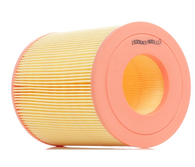Compre Filtro de ar da RIDEX 8A0094 a um preço baixo por 9,24 €