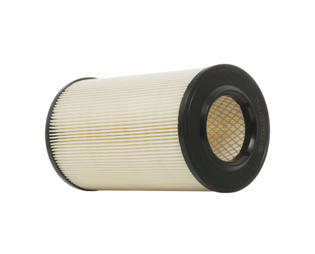 Acquista online RIDEX Filtro aria Art.: 8A0116