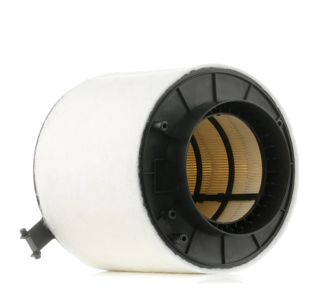 Acquista online RIDEX Filtro aria Art.: 8A0275