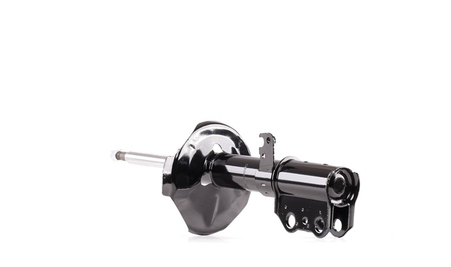 Stoßdämpfer 854S0211 von RIDEX günstig für 43,48 € online kaufen