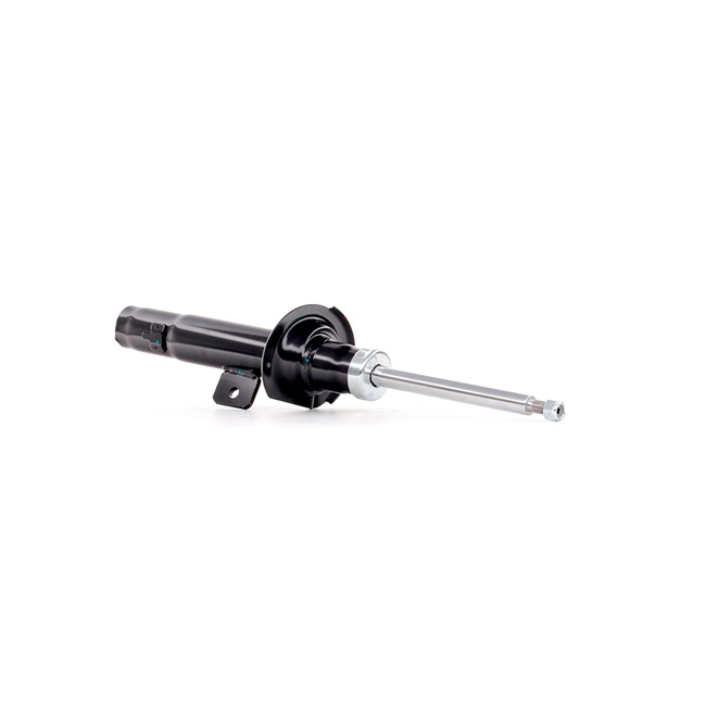 Stoßdämpfer 854S0697 von RIDEX günstig für 46,54 € online kaufen