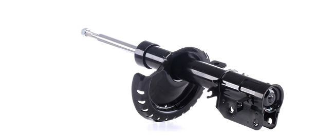 Online Shop für Stoßdämpfer von RIDEX EAN: 4059191104123