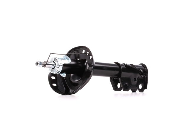 Online Shop für Stoßdämpfer von RIDEX EAN: 4059191107070