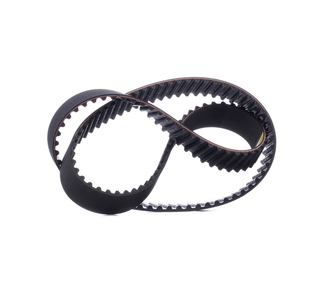 Acquista online STARK Cinghia dentata Art.: SKTIB-0780002