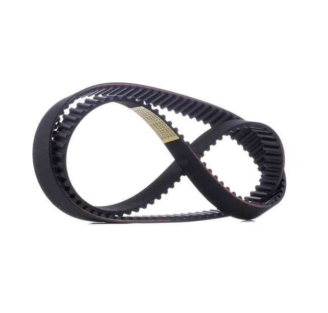 Acquista online STARK Cinghia dentata Art.: SKTIB-0780039