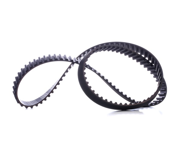 Acquista online STARK Cinghia dentata Art.: SKTIB-0780090