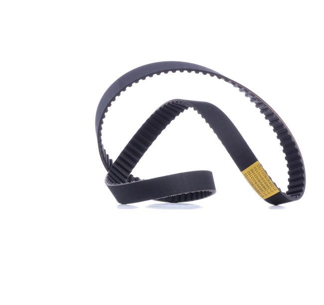 Acquista online STARK Cinghia dentata Art.: SKTIB-0780088