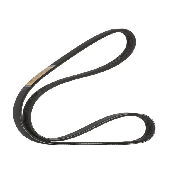 Keilrippenriemen SKPB-0090013 HYUNDAI KONA von STARK