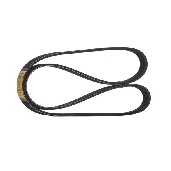 STARK SKPB-0090024 Courroie d'alternateur RENAULT Scénic 1 (JA0/1_, FA0_)