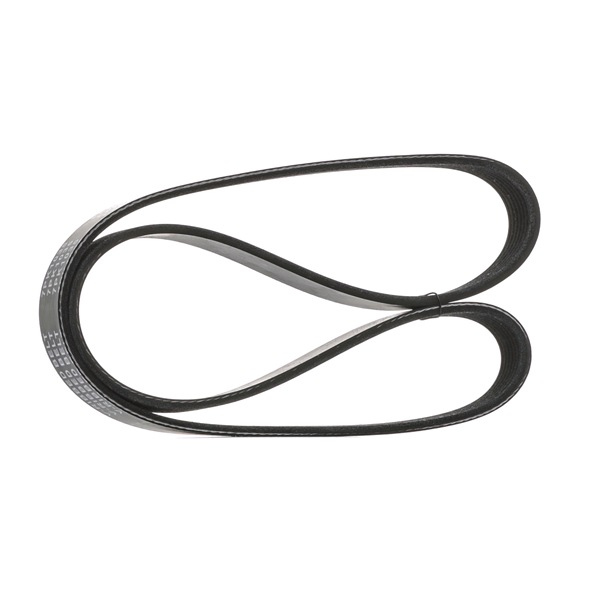 STARK SKPB-0090030 Correia do alternador RENAULT WIND