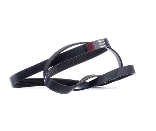 Keilrippenriemen SKPB-0090048