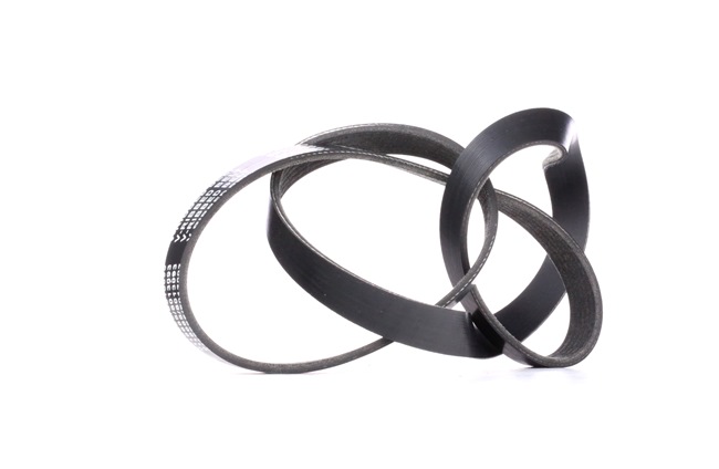 Achetez des Courroie Poly-V STARK SKPB-0090061 à prix pour 12,16 €