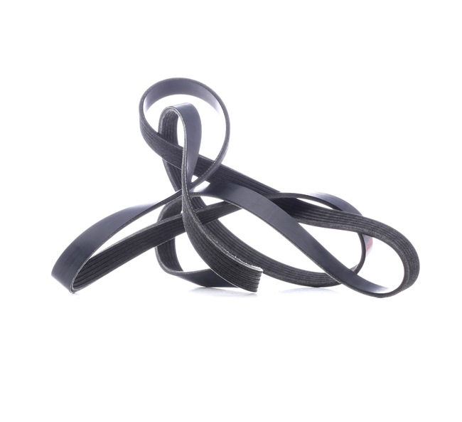 Acquista online STARK Cinghia servizi Art.: SKPB-0090069