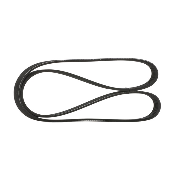 STARK SKPB-0090084 Correia do alternador NISSAN XTERRA