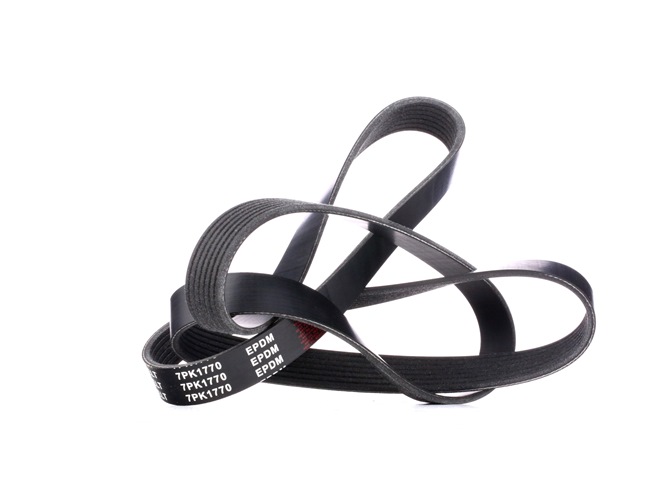 Acquista online STARK Cinghia servizi Art.: SKPB-0090109