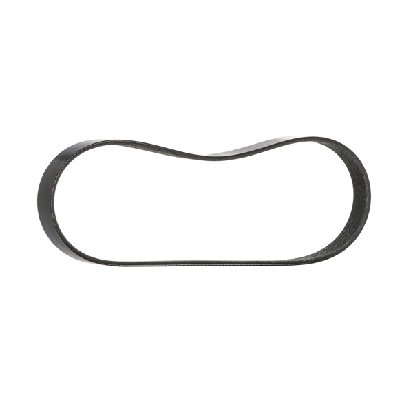 STARK SKPB-0090125 Correia do alternador FORD TRANSIT COURIER