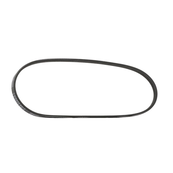 STARK SKPB-0090136 Correia do alternador ROVER 200