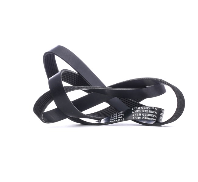 Achetez des Courroie Poly-V STARK SKPB-0090181 à prix pour 16,91 €