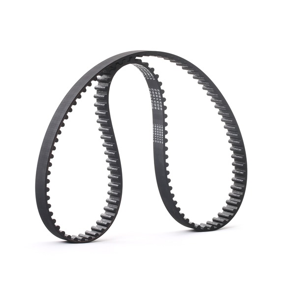 Acquista online STARK Cinghia dentata Art.: SKTIB-0780117