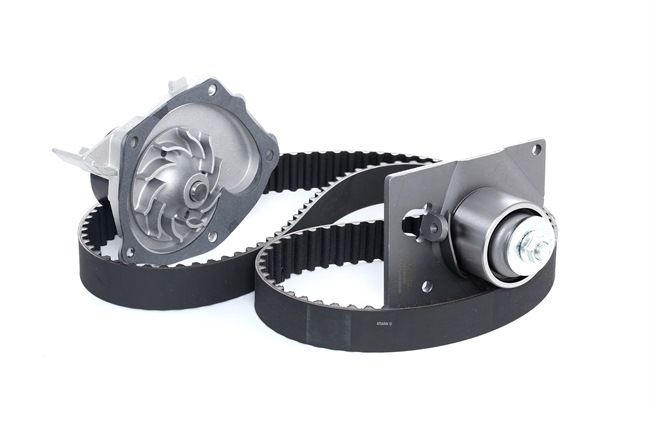 Achetez des Kit de distribution + pompe à eau STARK SKWPT-0750024 à prix pour 150,50 €