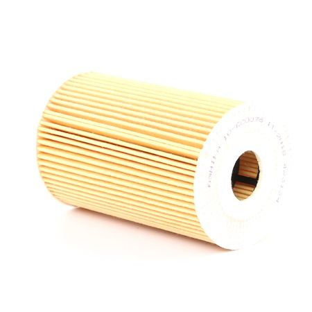 Acquista online ASHIKA Filtro olio Art.: 10-ECO076