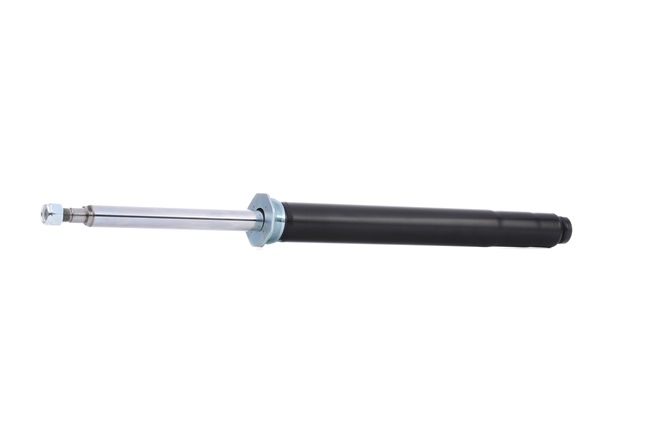Acquista online RIDEX Ammortizzatore Art.: 854S1376