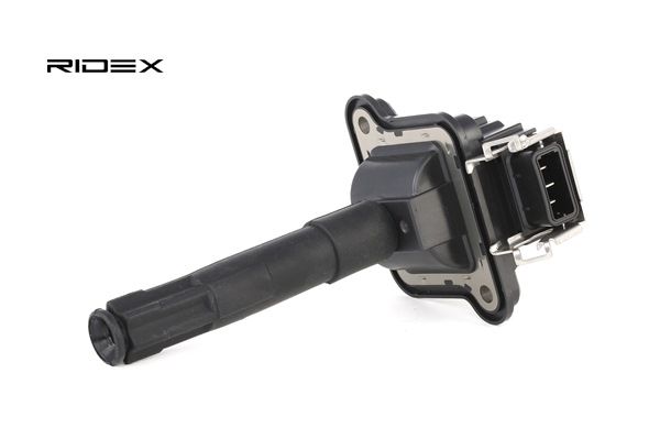 Osta Sytytyspuola RIDEX:llä 689C0008 edullisesti hintaan 25,76 €