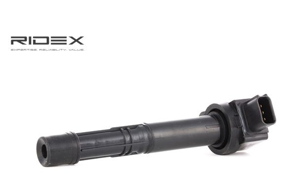 Osta Sytytyspuola RIDEX:llä 689C0026 edullisesti hintaan 22,30 €
