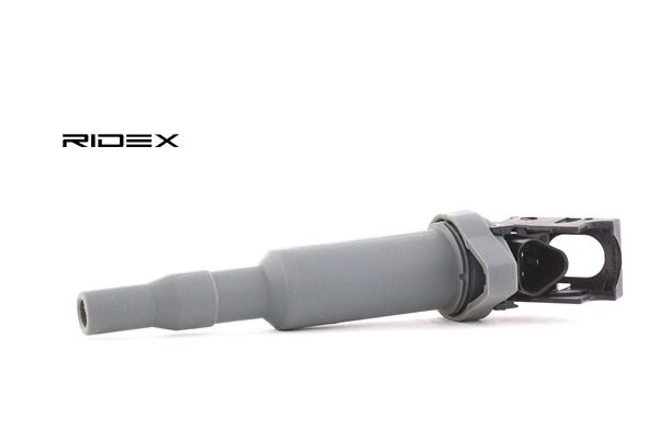 Online Shop für Zündspule von RIDEX EAN: 4059191162987