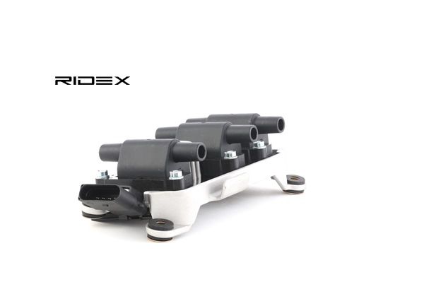 Osta Sytytyspuola RIDEX:llä 689C0042 edullisesti hintaan 101,31 €