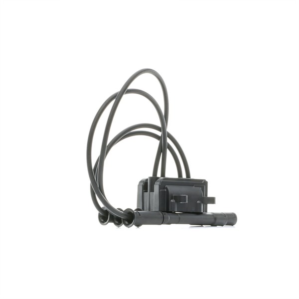Compre Bobina de ignição da RIDEX 689C0043 a um preço baixo por 33,89 €