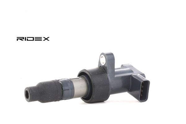 Online Shop für Zündspule von RIDEX EAN: 4059191163199