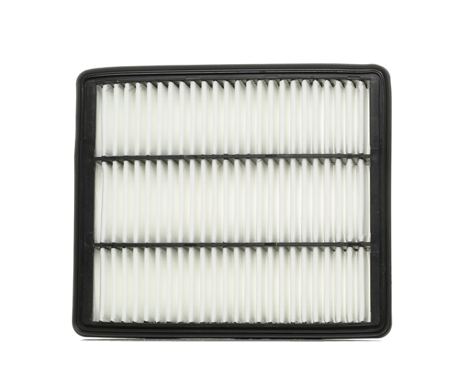 Luftfilter 8A0165