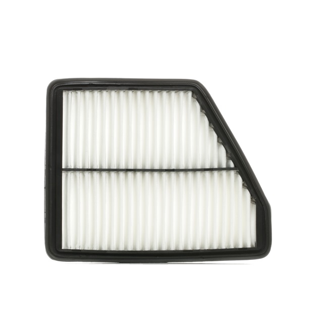 Luftfilter 8A0217 HYUNDAI MATRIX von RIDEX