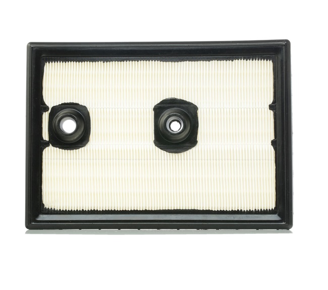 Compre Filtro de ar da RIDEX 8A0321 a um preço baixo por 8,96 €