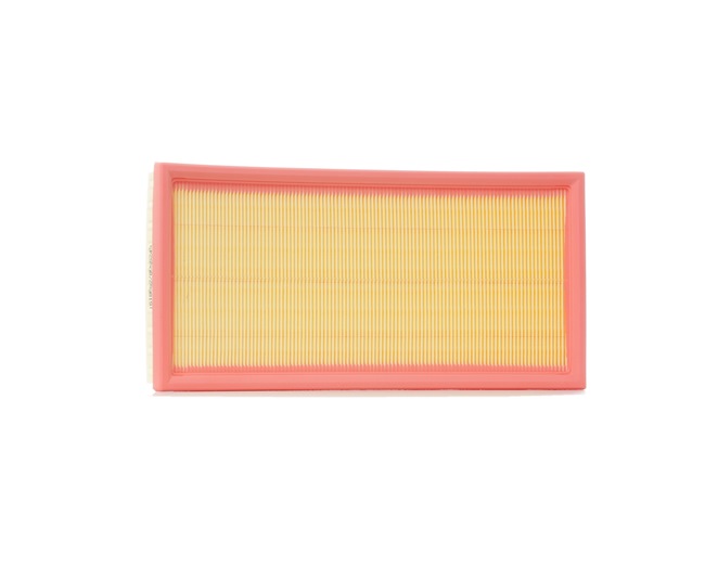 Acquista online RIDEX Filtro aria Art.: 8A0305