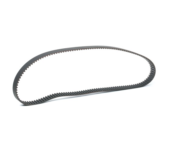 Acquista online STARK Cinghia dentata Art.: SKTIB-0780179