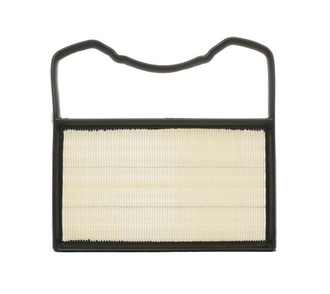 Compre Filtro de ar da RIDEX 8A0286 a um preço baixo por 9,42 €
