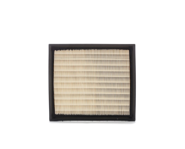 Luftfilter 8A0282 BMW von RIDEX