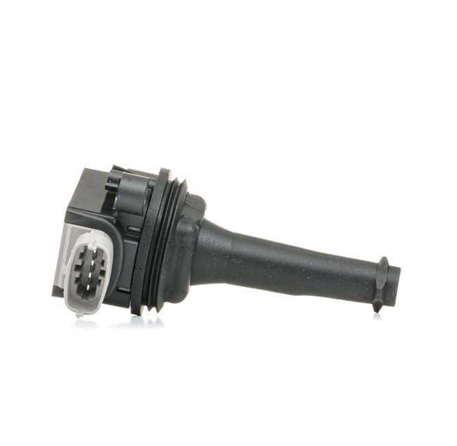Osta Sytytyspuola RIDEX:llä 689C0089 edullisesti hintaan 23,63 €
