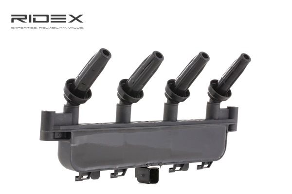 Compre Bobina de ignição da RIDEX 689C0091 a um preço baixo por 35,46 €