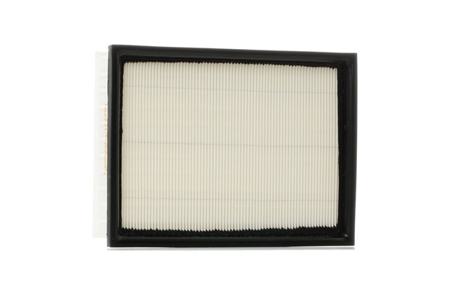 Luftfilter von RIDEX für C4 Picasso I (UD_) günstig online kaufen