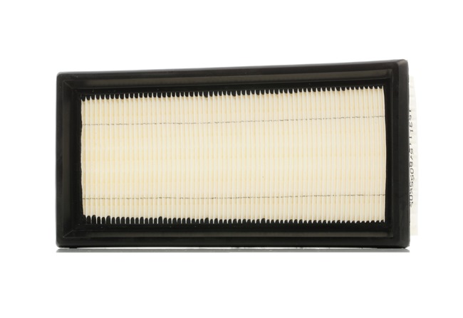 Luftfilter von RIDEX 8A0360