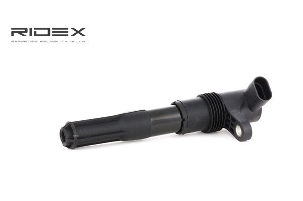 Acquista online RIDEX Bobina d'accensione Art.: 689C0095