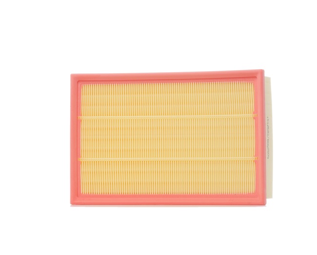 Luftfilter für LAND ROVER von RIDEX