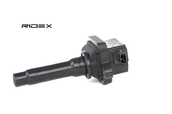 Osta Sytytyspuola RIDEX:llä 689C0103 edullisesti hintaan 30,23 €