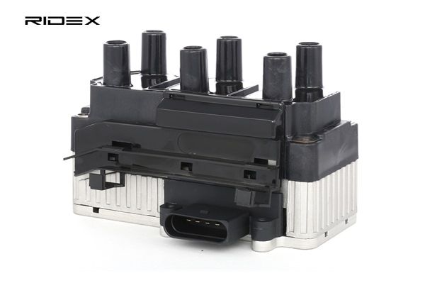 Osta Sytytyspuola RIDEX:llä 689C0126 edullisesti hintaan 121,23 €